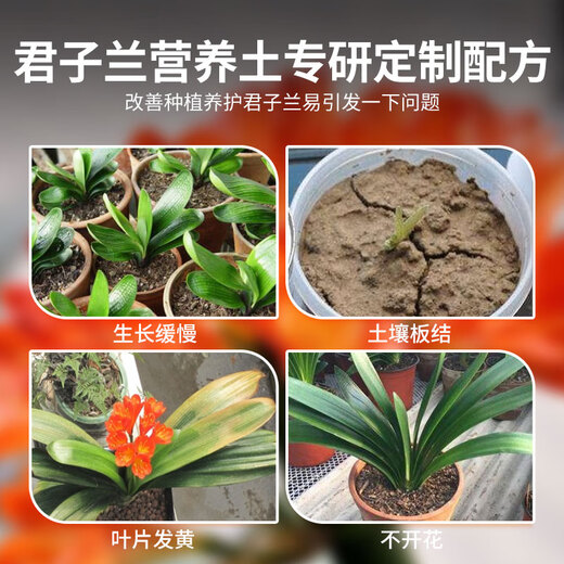 Shangyang Clivia special nutrient soil 8L (five-in-one) gardening potted flower growing organic peat soil matrix flower soil