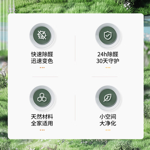 CLCEY除甲醛果冻除醛魔盒新房急入住车家两用清璨甲醛清除剂 除醛率9930罐装