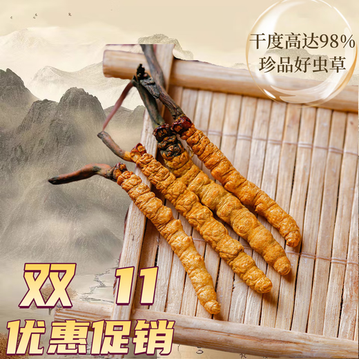 Nagqu Cordyceps Cordyceps Cordyceps Tibetaner Nagqu Cordyceps 2 Stücke Trockenwaren Cordyceps Geschenke 50 Geschenkboxen 50 Geschenkboxen;