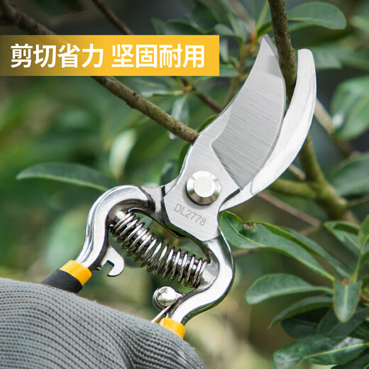 Deli fruit tree pruning scissors pruning shears labor-saving scissors garden potted flowers gardening pruning branches pruning thick branches high carbon steel flower and tree shears DL2778