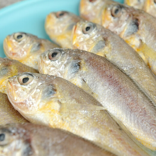 Pure color and original flavor Frozen Zhoushan small yellow croaker 2.8 Jin Jin equals 0.5 kg Barbecue ingredients Fresh fish
