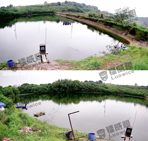 Radivision Vigilance Hogar 360 grados No hay puntos ciegos con visión nocturna Cámara panorámica Teléfono móvil Habitación remota Wifi Wifi Wifi Rotación automática 4G Rural Rural Waterre