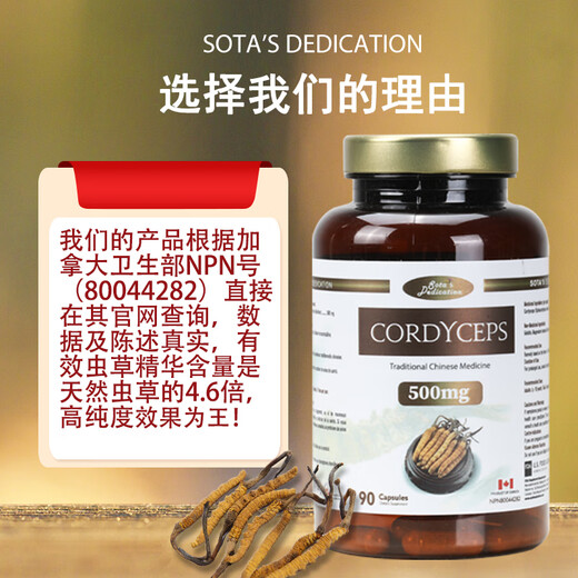 Sota's Dedicat Canada Original importé Cordyceps Mycelium Cordyceps Capsules 90 Capsules / bouteille de cadeaux du festival de la mi-automne