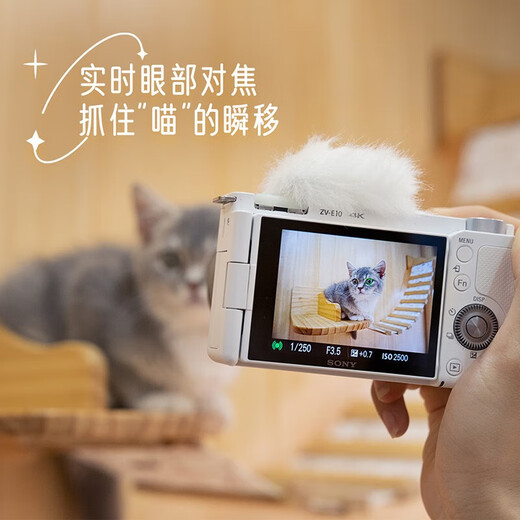Sony (SONY) ZV-E10 Vlog micro-single digital camera Standard lens set APS-C small and portable 4K professional white single body + E50mm F1.8 OSS set 2