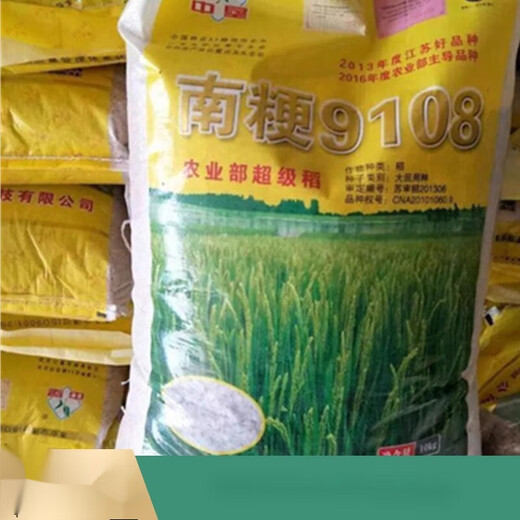 旱稻种子糯稻水稻种子南粳9108郑旱10号珍珠香米常规可以留谷种籽 [水稻种子]金香玉686一斤