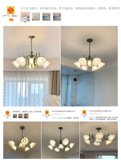 
D 8 French pastoral living room chandeliers creative internet celebrity lily of the valley flower lamp American country retro lamp restaurant bedroom lamp YL6627 green three-head disc 35CM warm light