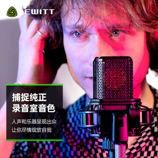 LEWITT LCT440PURE condenser microphone computer karaoke professional recording live broadcast microphone anchor equipment sound card set LEWITT LCT440+Aiken 4nanos set
