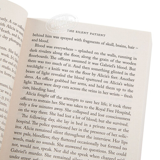 沉默的病人 英文原版 The Silent Patient 小说 Alex Michaelides