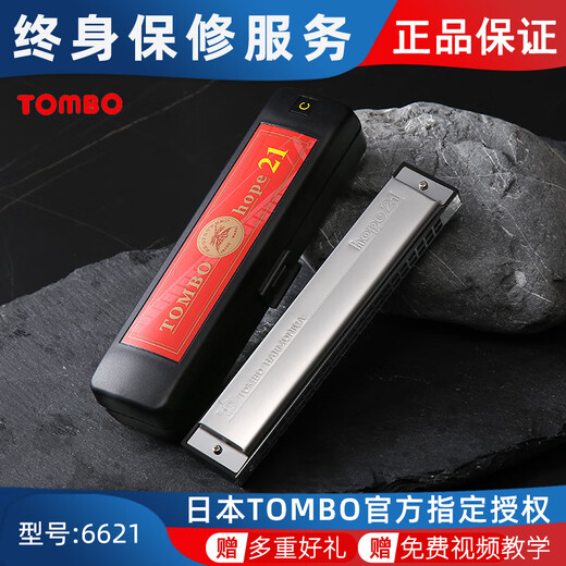 通宝（TOMBO）21孔复音口琴6621日本进口儿童初学者自学乐器口琴HOPE 21孔 LowD调  全套赠品