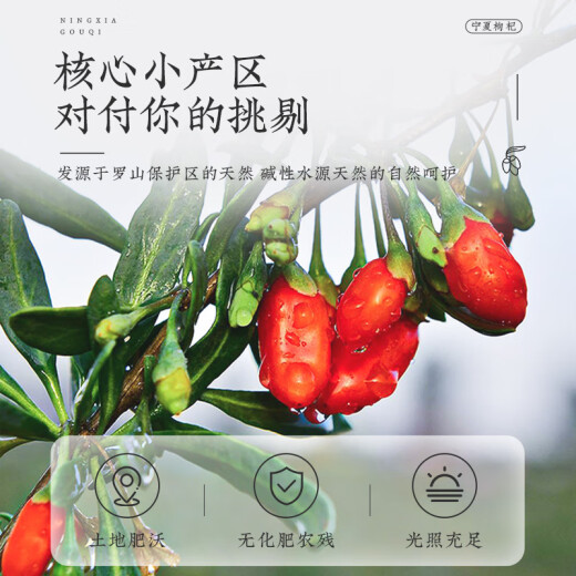 渭水鸿 枸杞子 特级宁夏枸杞250克精选头茬新果枸杞泡水煲汤枸杞茶泡酒