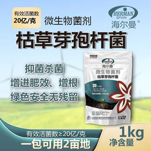 Guanlong Agricultural Chemical Bacillus subtilis compound microbial agent to prevent and control bacterial wilt, root rot, ginger plague and root rot 1000g*3 bags