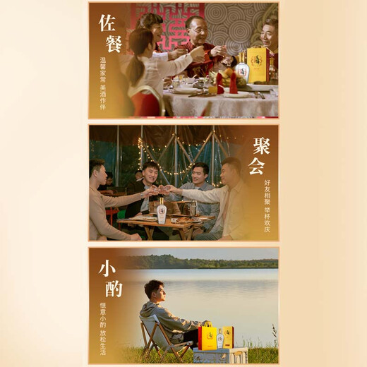 Jin brand Maopu tartary buckwheat wine herbal wine golden buckwheat 50 degrees 500ml*6 bottles full box New Year's Day gift