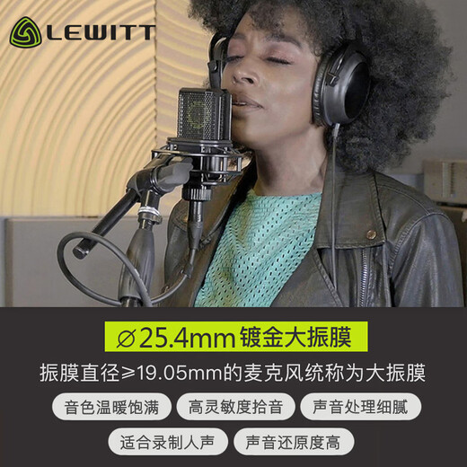 LEWITT LCT440PURE condenser microphone computer karaoke professional recording live broadcast microphone anchor equipment sound card set LEWITT LCT440+Aiken 4nanos set