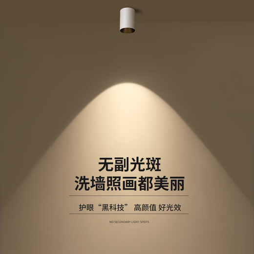 爱多辉明装筒灯射灯led天花灯免开孔家用圆形吸顶式玄关走道卧室6223 新升级60°筒灯-12w黑白款4000k