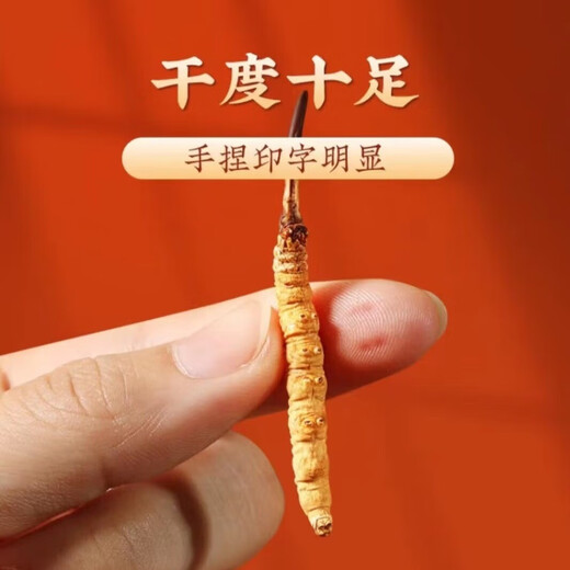 冬虫夏草 藏区高海拔虫草干货 滋补礼盒装 2根一克 100根礼盒装