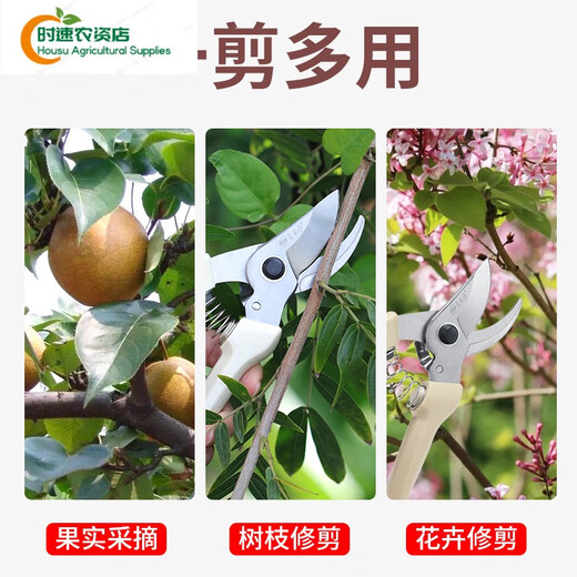 德国进口品质剪树枝专用剪刀园林园艺修枝剪不锈钢修剪树枝 SK5-01白修枝剪+14116:不锈钢橙: