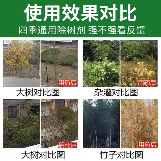 Bamboo-killing medicine for killing bamboo root and root rot. Powerful to kill bamboo king. Bamboo-killing medicine. Bamboo root and root rot powder. Three barrels. Buy two and get one free. Easy-to-use medicine for killing bamboo root.