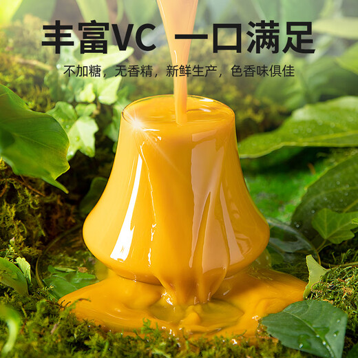 Pure Farming Sea Buckthorn Puree Gift Box 1.8L 100% Portable Fresh Fruit Raw Squeezing Rich in VC as a holiday gift for elders tonic