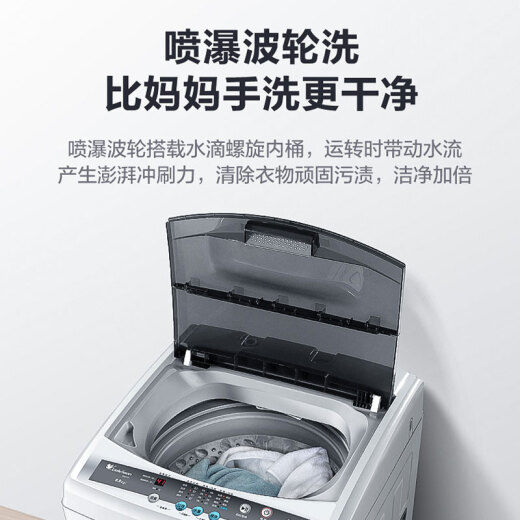LittleSwan (LittleSwan) 8 kg Jin [Jin equals 0.5 kg] pulsator washing machine fully automatic healthy no-clean one-click dehydration rental artifact quality motor TB80V20