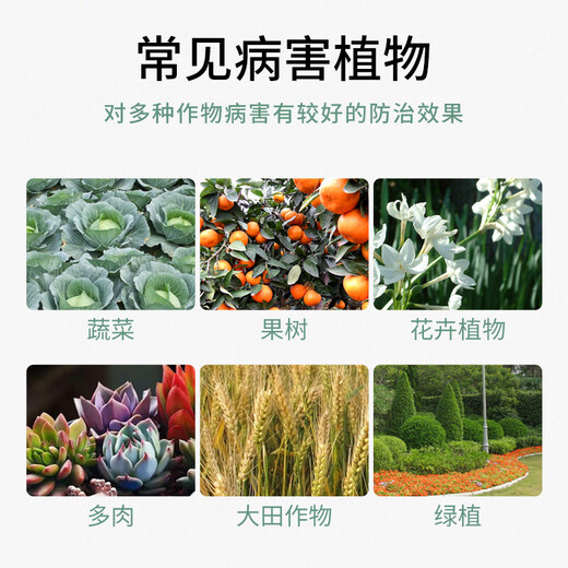 Guoguang 80% Mancozeb Fruit Tree Seedlings Flowers Rose Vegetables Grape Leaf Spot Powdery Mildew Pesticide Fungicide 200g