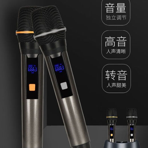 爱国者家庭KTV音响套装全套点歌机卡拉OK一体机家用专业K歌重低音 美声功放KTV全套+12寸双炮+投影 双十寸10单元音响