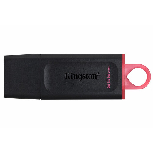 金士顿（Kingston）256GB USB3.2 Gen 1 U盘 DTX 大容量U盘 时尚设计 轻巧便携 学习办公投标电脑车载通用