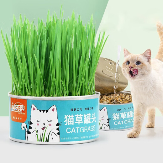 Hanhan Paradise Cat Grass Seeds Soil Culture Potted Plants Canned Dog Cat Grass Box Lazy Cat Grass Tablets Cat Snacks Cat Grass Canned Cat Zero Cat Candy 12g*2 pcs