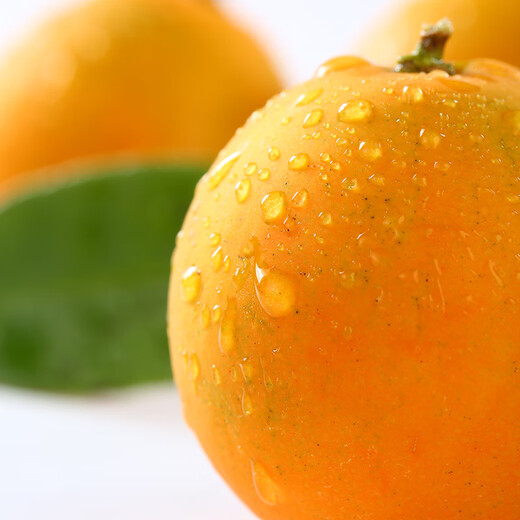 京觅广西融安第二代脆皮金桔 5号果-彩盒3斤装 单果10g+ 源头直发