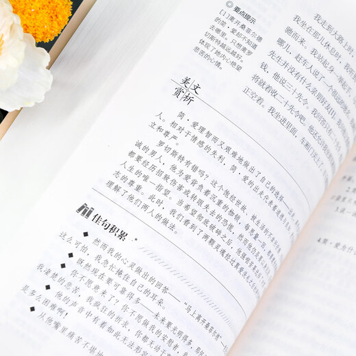 正版现货速发儒林外史和简爱书籍 原著完整版无删减格列佛游记我是猫契诃夫短篇小说集围城 九年级上下册必阅 完整版686页水浒传赠考题册