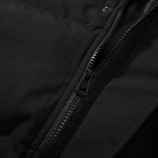 U.S. POLO ASSN. Down cotton vest men's autumn and winter outdoor windproof versatile waistcoat warm vest men's jacket black 2XL