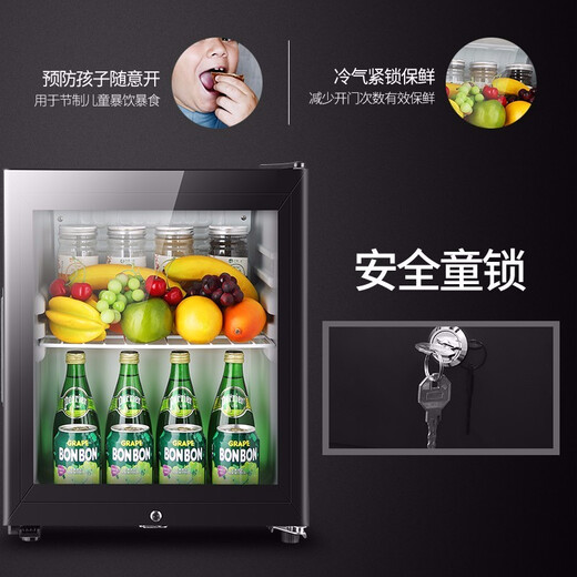SAST ice bar refrigerator European style constant temperature wine cabinet office hotel home refrigerator mini small single door gaming tea preservation cabinet display sample beverage medicine cabinet 50 liters black (fully refrigerated preservation + lock)