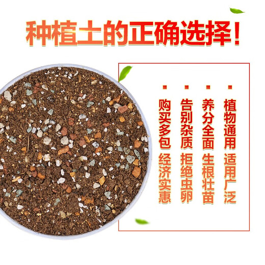 Devodoro succulent nutrient soil 1L special peat soil for succulent plant planting soil mixed with soil granular matrix flower pot soil