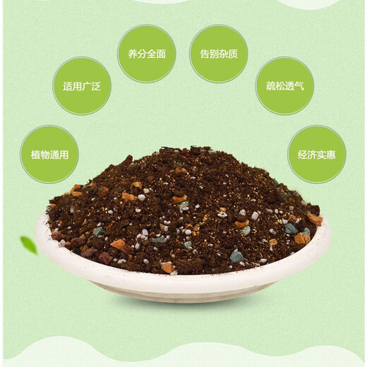 Devodoro succulent nutrient soil 1L special peat soil for succulent plant planting soil mixed with soil granular matrix flower pot soil