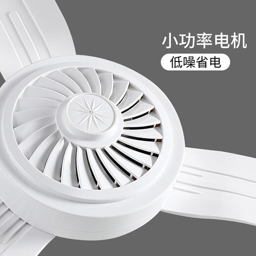 
Special electric fan ceiling fan for pig farm breeding pig house factory pig cooling and cold air feeding pig farm heat relief artifact 1050mm three-leaf ceiling fan