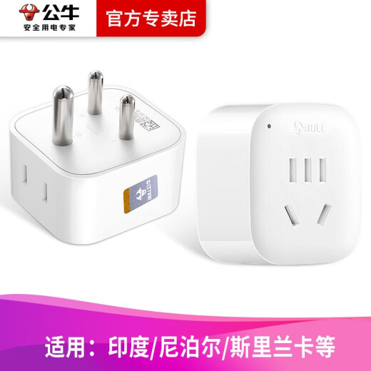 公牛（BULL） 印度标尼泊尔斯里兰卡旅行充电转换器插头转国内电器插座L01S 2插位印度标GN-L01S