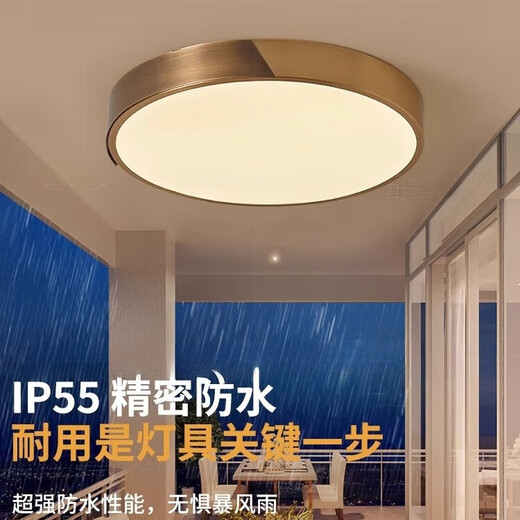 
Heling Quantong Villa Door Ceiling Light Outdoor Terrace Insect-proof Door Headlight Ultra-thin Door Headlight Lighting Entrance Door Light X3889/30CM/Three Color Adjustable