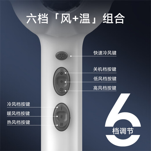 Fire Phoenix Haartrockner für Friseursalons, Negativ-Ionen-2200-W-Hochleistungs-Friseursalon, starker Wind, schnelles Trocknen, Haushalts-Haarpflege mit hoher Geschwindigkeit und konstanter Temperatur, ohne das Haar zu schädigen 8960 8960H White Parrot (2400 W)