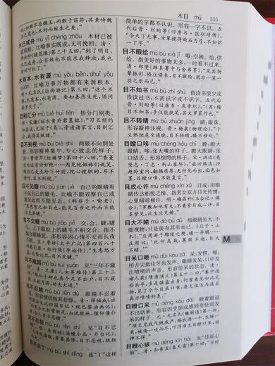 中华成语大词典（精编版）