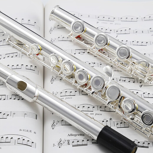 
ROFFEE flute instrument 17 open and closed hole dual-purpose silver-plated flute students beginners playing elbow flute instrument 17 hole C-tuning white copper open and closed hole dual-purpose 505 college level