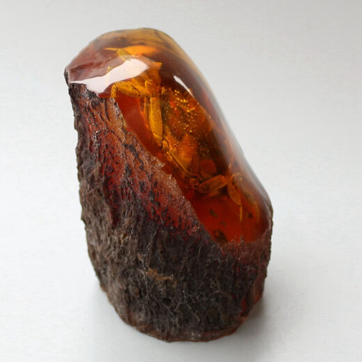 Swiss artificial amber crab specimen resin crafts real insect animal raw stone fossil insect amber ornaments picture color
