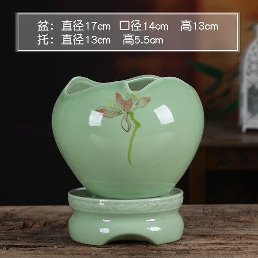 Yuxuantang Celadon Sukkulente Phalaenopsis Spezialblütenblüte mit Basis großgrößen Keramik Lazy Simple Spider Plant Orchidee Bonsai yy Pink Pflaumen Grün 719+ Lazy Base