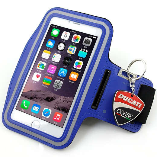 Chuanfeng Outdoor Sports Fitness Mobile Phone Armband Multifunctional Running Arm Bag Arm Bag Arm Cover CF-3007 Colors shipped randomly