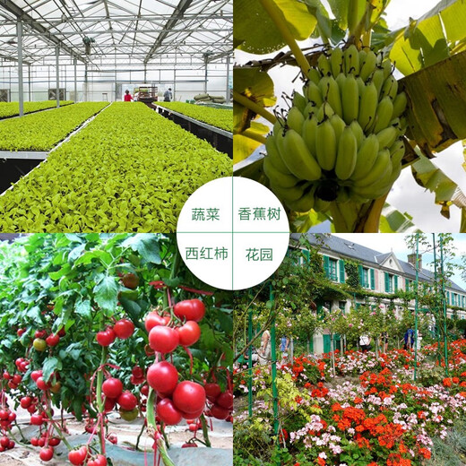 Baoyi 99% potassium dihydrogen phosphate flower and green plant foliar fertilizer fertilizer general water-soluble fertilizer for field vegetables and fruit trees 1000g/bag