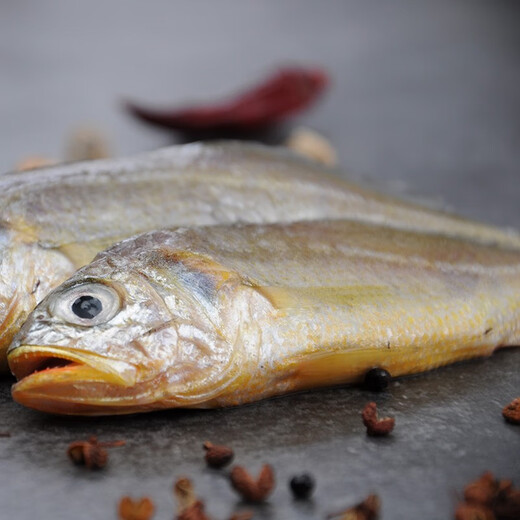 Pure color and original flavor Frozen Zhoushan small yellow croaker 2.8 Jin Jin equals 0.5 kg Barbecue ingredients Fresh fish