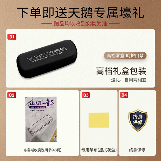 天鹅（SWAN）追梦人口琴10孔布鲁斯爱尔兰paddy音阶高级专业演奏(黑色）