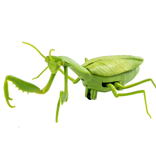 Qisen Fernbedienung Mantis Elektrische Simulation Kinderspielzeug Streich kreativer Artefakt Kakerlake 3 Jungen können Krabbeltiere Fernbedienungskontrolle Lady Käfer Red 9922+ Schraubendreher Offizieller Standard bewegen