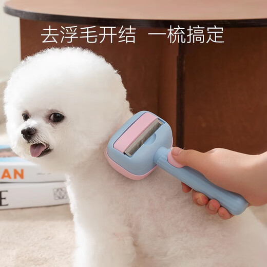 Nervous cat (shenjingmao) pet dog knot-opening and combing dual-purpose comb to remove floating hair Kajie artifact Bichon Teddy Pomeranian puppy combing artifact blue and pink No Specifications