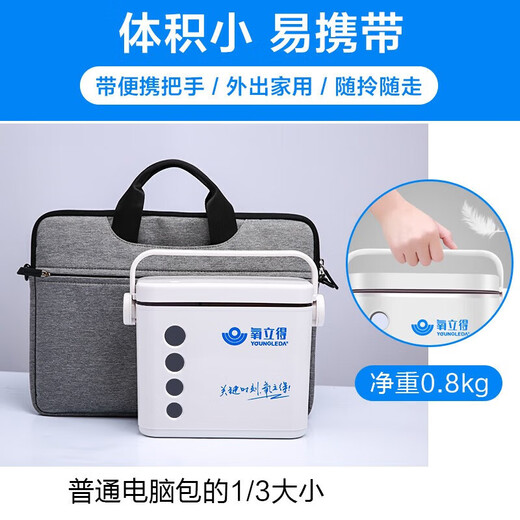 Oxygen (oxygen generator) oxygen generator A2000 type portable oxygen generator household oxygen generator [Agent 10 packs B agent 10 packs]*1 box