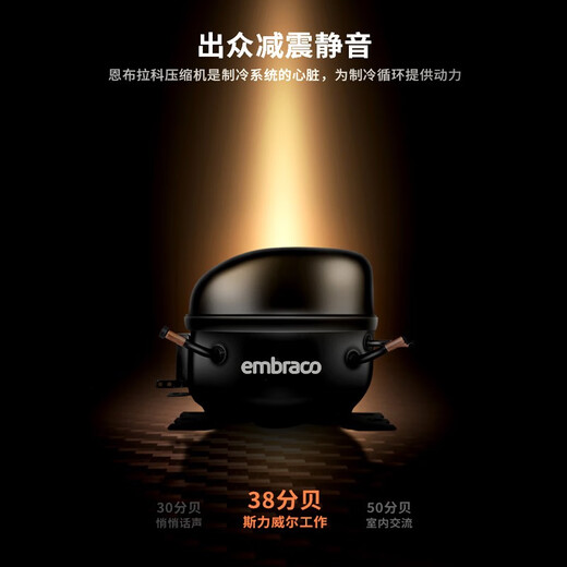 SILIWERE red wine cabinet, constant temperature wine cabinet, home red wine cabinet, living room wine cabinet, custom red wine cabinet, width 615 depth, 585 height, 1660 rose gold, 100 bottles, exclusive edition