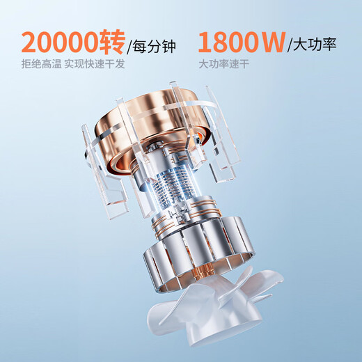 Royalstar Hair Dryer Home Light Care Hair Dryer High Power Quick Drying Hair Dryer Ladies Portable Hair Dryer Gifts for Girls Holiday Gifts Green Exclusive Hair Care Professional Hair Dryer